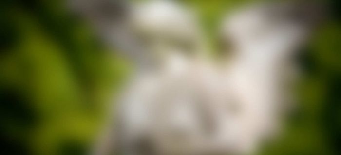 New Memorial Statues