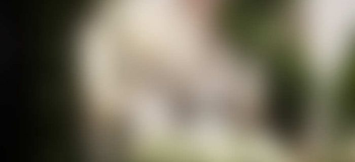 About Cremation and Ceremony